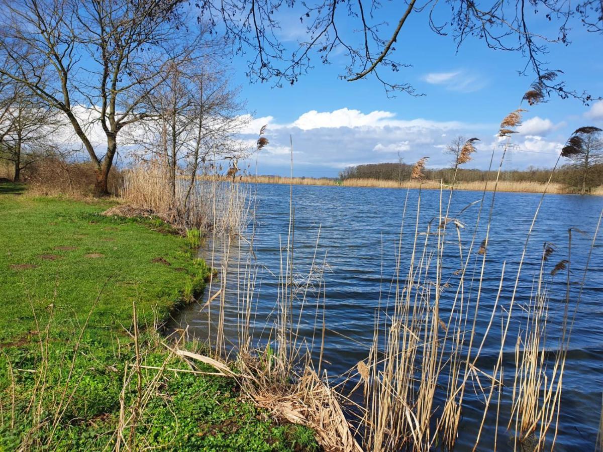 Ferienhaus Undine Mit E-Auto-Ladestation Oranienbaum-Woerlitz Bagian luar foto